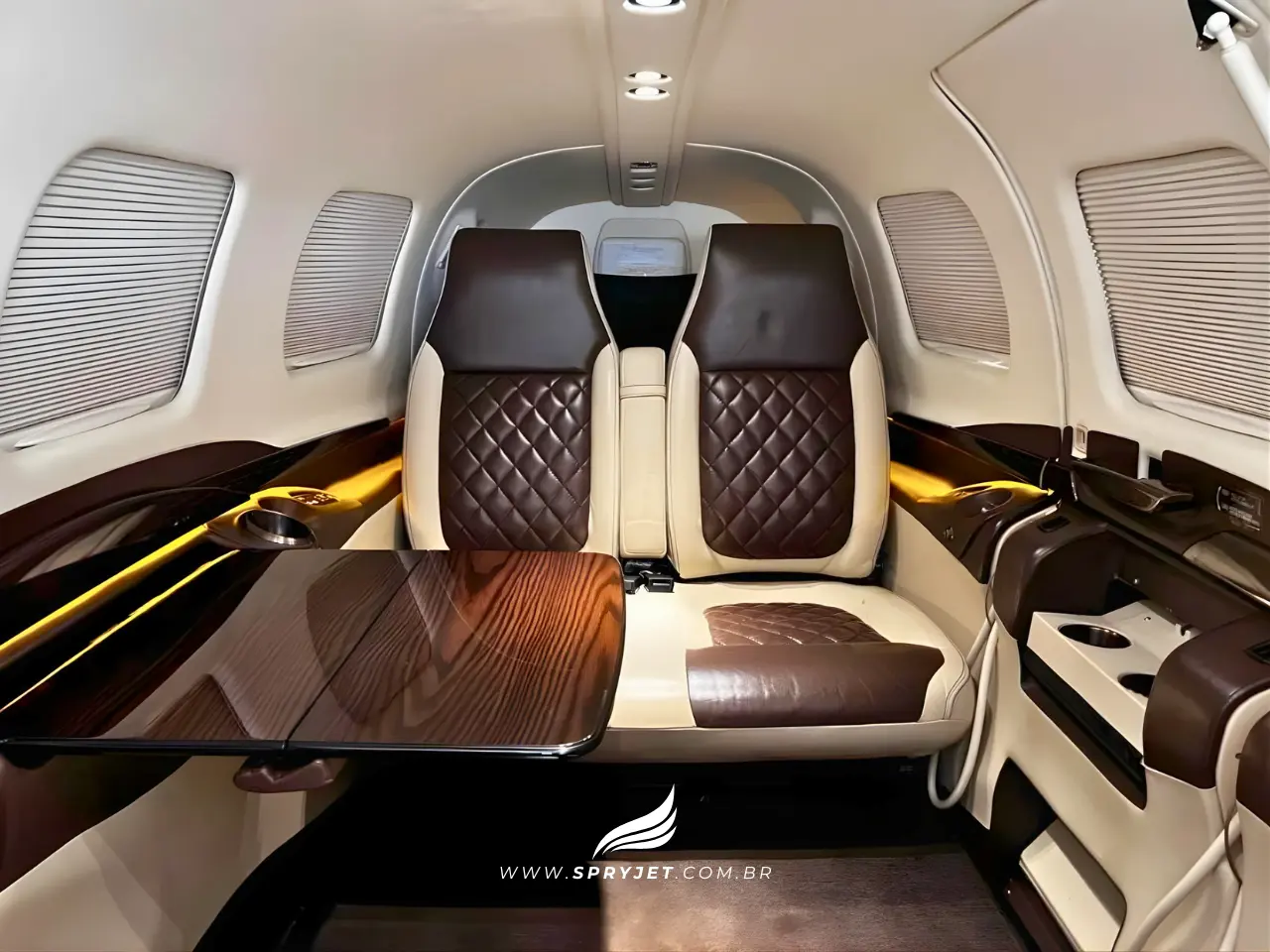 Piper M600 SLS - Ano 2021 - Imagem 7